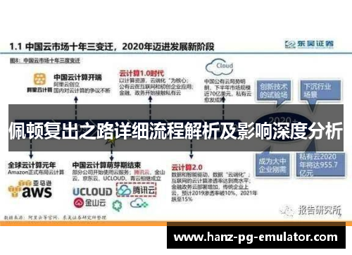 佩顿复出之路详细流程解析及影响深度分析